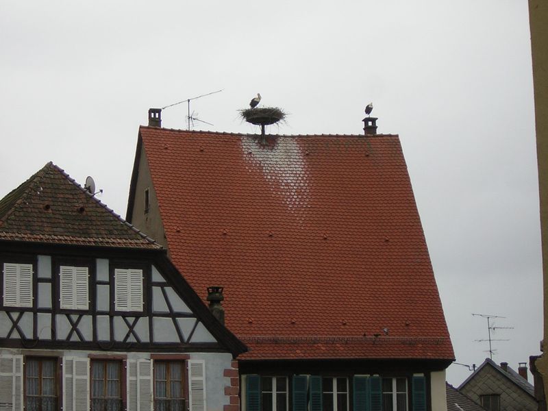 Obernai_2007-05-17 11h54m05s.jpg